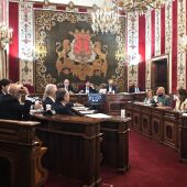Imagen del Pleno del pasado mes de mayo