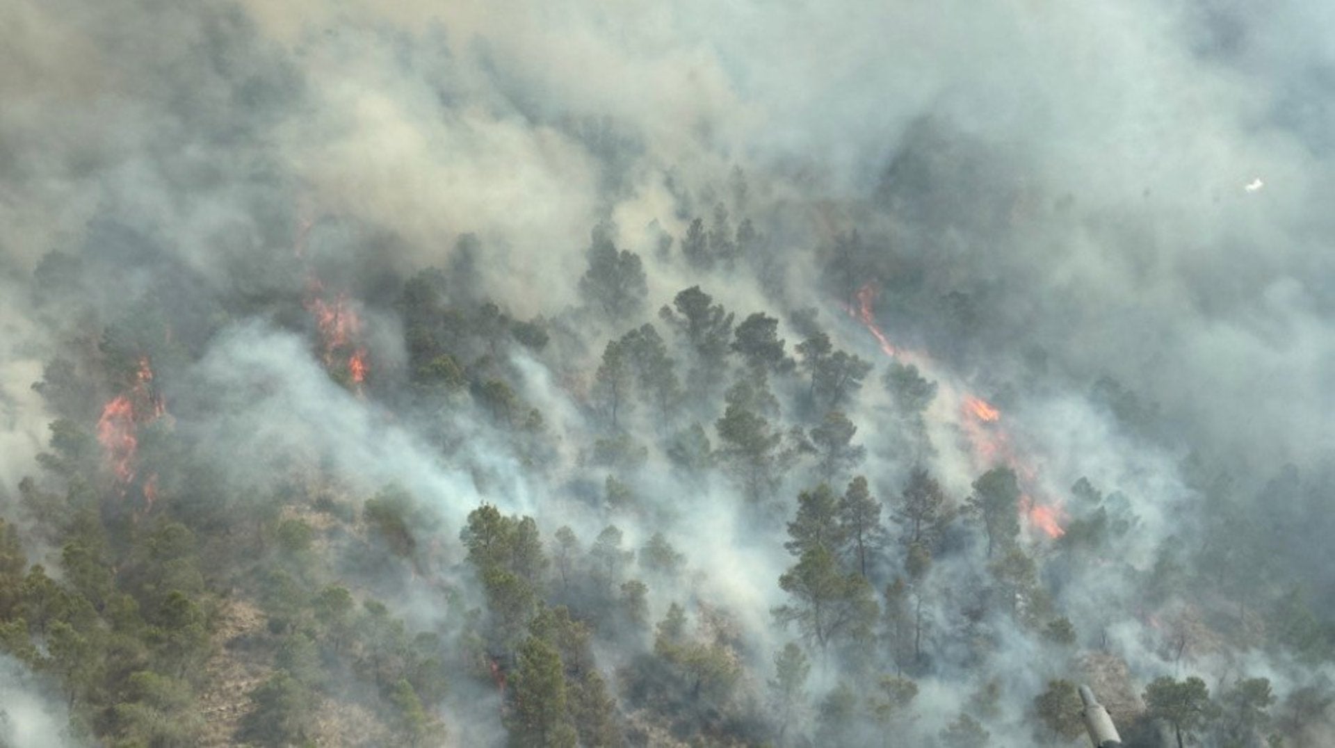 Incendio en Los Garres y Lages Incendio en Los Garres y Lages