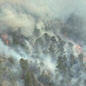 Incendio en Los Garres y Lages 