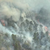 Incendio en Los Garres y Lages Incendio en Los Garres y Lages