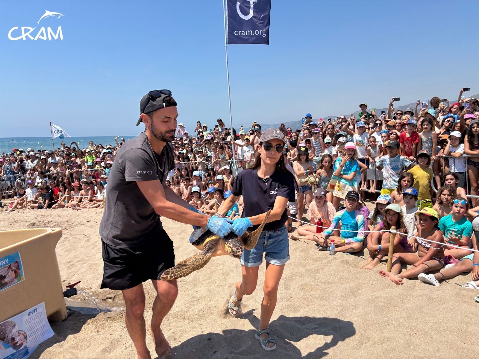 Com funciona el rescat de fauna marina al litoral català Com funciona el rescat de fauna marina al litoral català