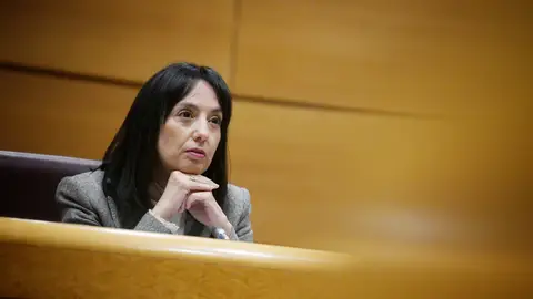 La directora general de la Guardia Civil, Mercedes González Fernández, comparece en la Comisión de Interior del Senado, a 17 de marzo de 2025, en Madrid La directora general de la Guardia Civil, Mercedes González Fernández, comparece en la Comisión de Interior del Senado, a 17 de marzo de 2025, en Madrid