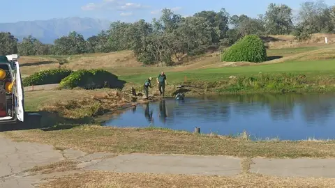 Encuentran muerto en una charca en el campo de golf de Talayuela a un trabajador de 25 años que hacía labores de desbroce Encuentran muerto en una charca en el campo de golf de Talayuela a un trabajador de 25 años que hacía labores de desbroce
