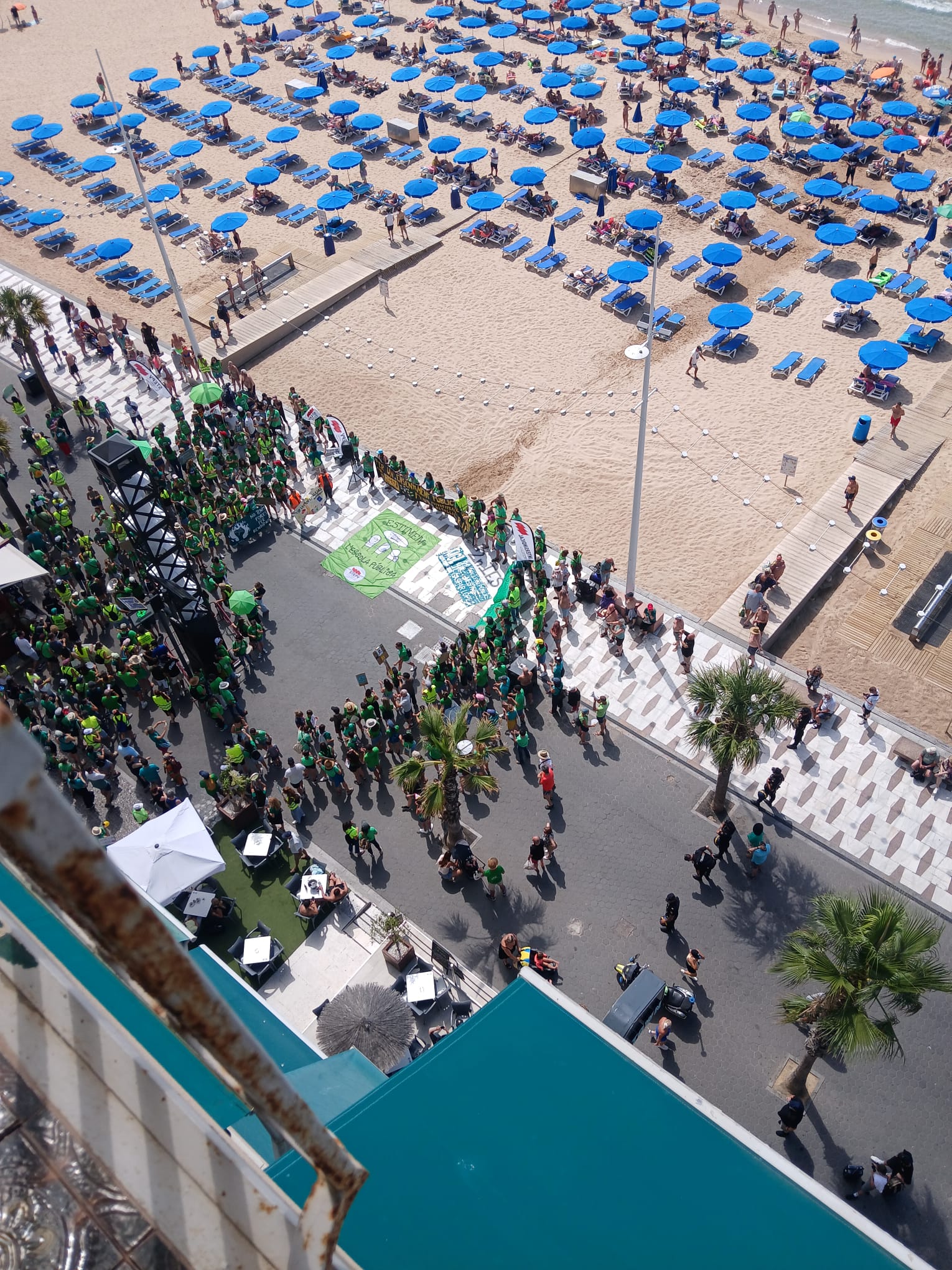 La Plataforma en defensa de l'Ensenyament Públic Marina Baixa ha convocado una manifestació en Benidorm La Plataforma en defensa de l'Ensenyament Públic Marina Baixa ha convocado una manifestació en Benidorm
