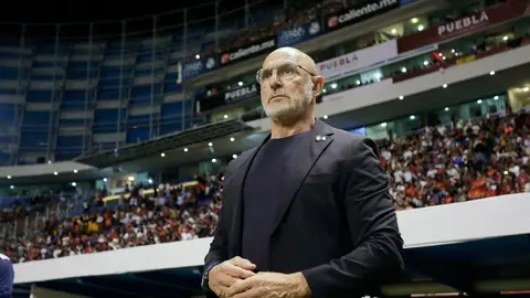 De la Fuente: "La decisión del portero ya estaba tomada antes del partido" De la Fuente: "La decisión del portero ya estaba tomada antes del partido"