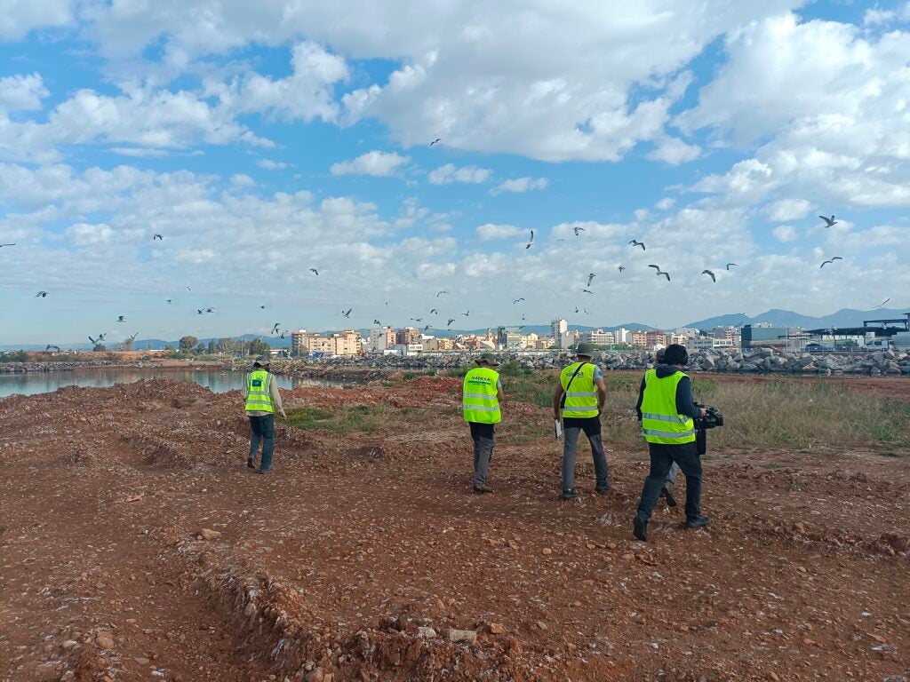 PortCastelló refuerza la protección de aves marinas en el recinto portuario con un nuevo seguimiento de colonias PortCastelló refuerza la protección de aves marinas en el recinto portuario con un nuevo seguimiento de colonias