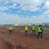 PortCastelló refuerza la protección de aves marinas en el recinto portuario con un nuevo seguimiento de colonias