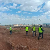 PortCastelló refuerza la protección de aves marinas en el recinto portuario con un nuevo seguimiento de colonias PortCastelló refuerza la protección de aves marinas en el recinto portuario con un nuevo seguimiento de colonias