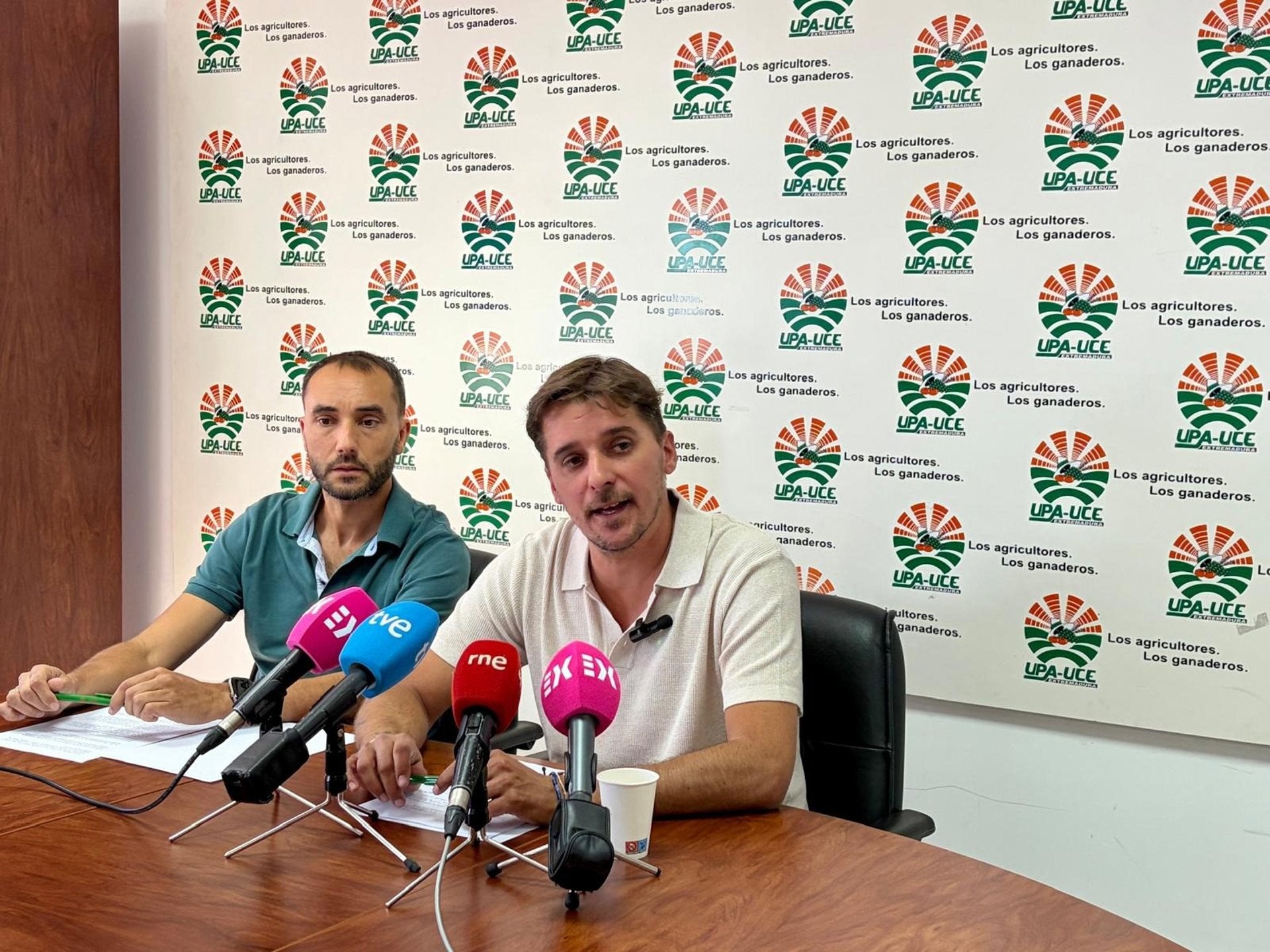 UPA-UCE Extremadura alerta de que el cereal de secano está en peligro con una caída de producción a "mínimos históricos" UPA-UCE Extremadura alerta de que el cereal de secano está en peligro con una caída de producción a "mínimos históricos"