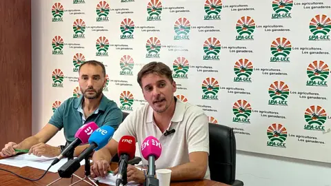 UPA-UCE Extremadura alerta de que el cereal de secano está en peligro con una caída de producción a "mínimos históricos" UPA-UCE Extremadura alerta de que el cereal de secano está en peligro con una caída de producción a "mínimos históricos"