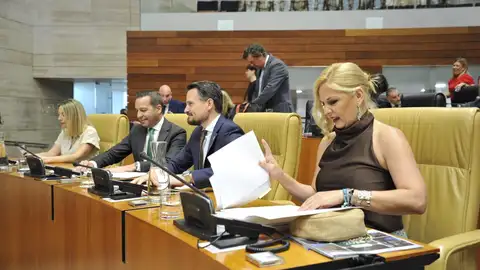 Las comparecencias de altos cargos de la Junta en la Asamblea para desgranar las cuentas arrancan este miércoles Las comparecencias de altos cargos de la Junta en la Asamblea para desgranar las cuentas arrancan este miércoles