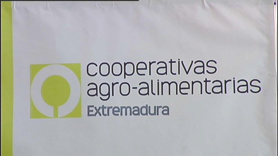 Las cooperativas agroalimentarias extremeñas incrementan su facturación un 46,4% en los últimos cinco años Las cooperativas agroalimentarias extremeñas incrementan su facturación un 46,4% en los últimos cinco años