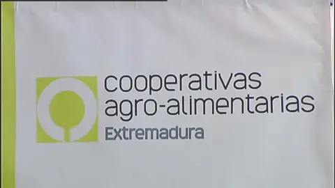 Las cooperativas agroalimentarias extremeñas incrementan su facturación un 46,4% en los últimos cinco años Las cooperativas agroalimentarias extremeñas incrementan su facturación un 46,4% en los últimos cinco años