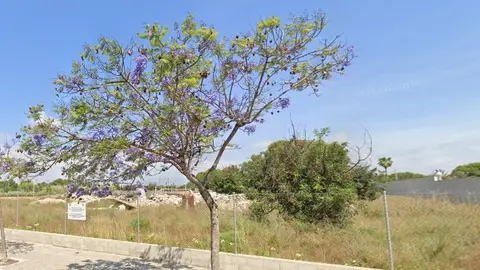 Una parcela de la avenida del Locutor Vicente Hipólito Una parcela de la avenida del Locutor Vicente Hipólito