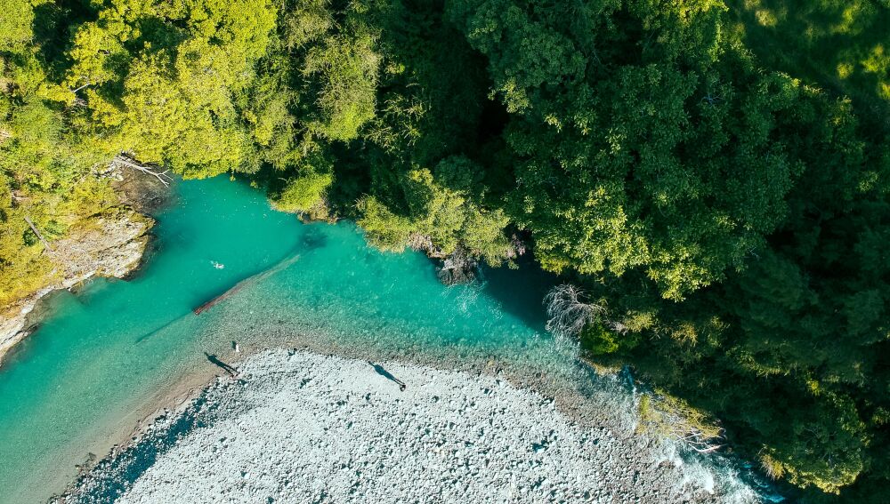 La naturaleza salvaje de Nueva Zelanda