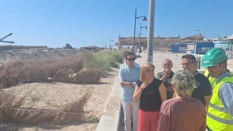Vista Pilar Bernab&eacute; a las playas de Sueca y El Perell&oacute;