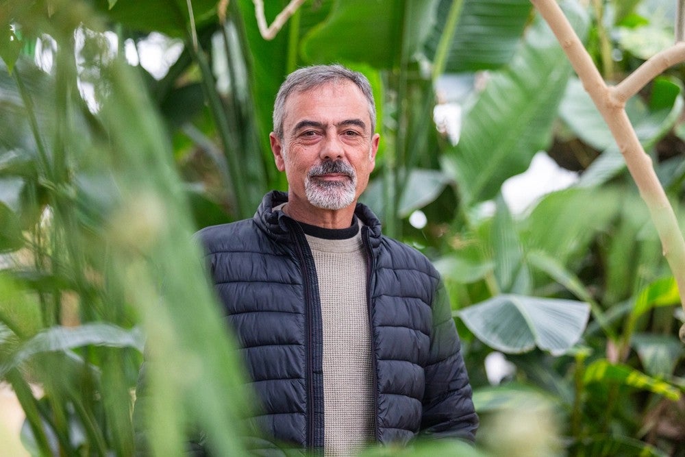El albaceteño Pablo Ferrandis es el nuevo presidente de la Asociación Ibero-Macaronésica de Jardines Botánicos El albaceteño Pablo Ferrandis es el nuevo presidente de la Asociación Ibero-Macaronésica de Jardines Botánicos