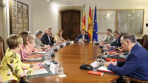 Pleno extraordinario del Consell. Pleno extraordinario del Consell.