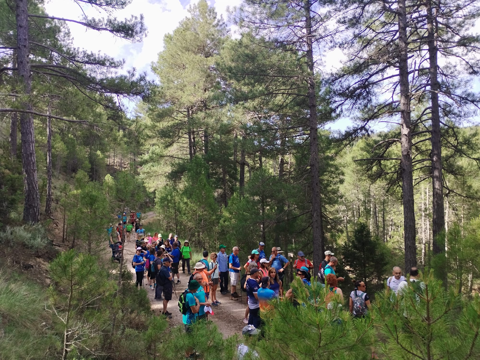 La Cierva inaugura el sendero de Marimingo en una jornada que reivindica la vida en el medio rural y la lucha contra la despoblación La Cierva inaugura el sendero de Marimingo en una jornada que reivindica la vida en el medio rural y la lucha contra la despoblación