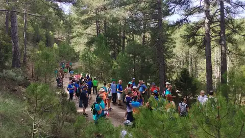 sendero de Marimingo sendero de Marimingo