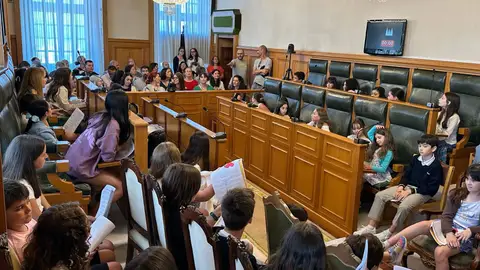 Santiago acoge la constitución del Consello Local da Infancia de Santiago con 52 niños concejales y con protagonismo para el medio ambiente e inclusión Santiago acoge la constitución del Consello Local da Infancia de Santiago con 52 niños concejales y con protagonismo para el medio ambiente e inclusión