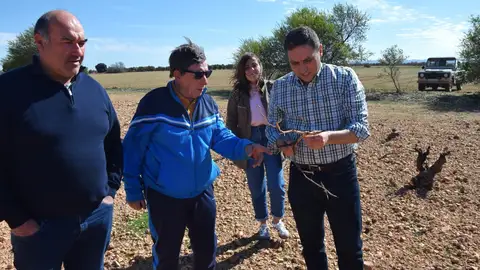 Sobrepoblación de conejo de monte Sobrepoblación de conejo de monte