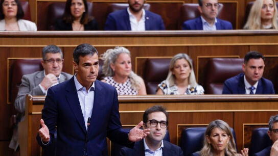 El presidente del Gobierno, Pedro S&aacute;nchez, durante su intervenci&oacute;n en el pleno del Congreso/ EFE/ Javier Lizon