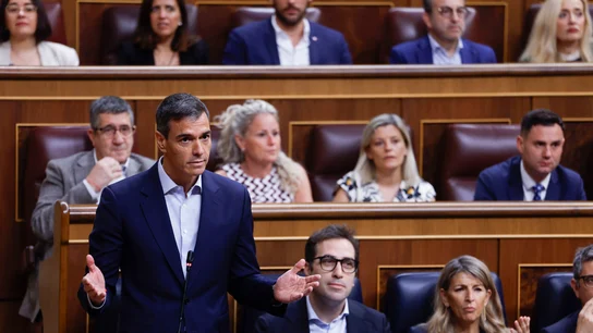 El presidente del Gobierno, Pedro Sánchez, durante su intervención en el pleno del Congreso El presidente del Gobierno, Pedro Sánchez, durante su intervención en el pleno del Congreso/ EFE/ Javier Lizon