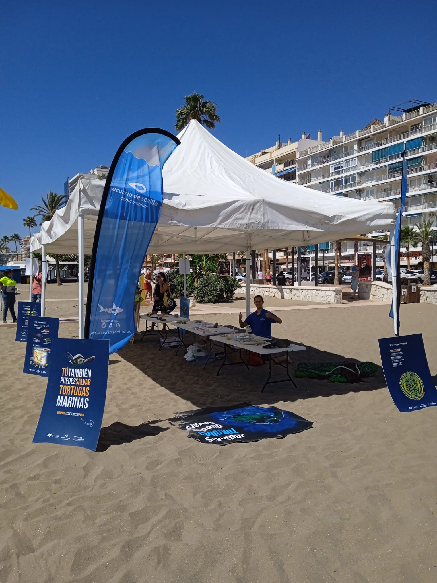 El Acuario de Sevilla presenta en Fuengirola una nueva edición de la campaña “Aquí salvamos tortugas” El Acuario de Sevilla presenta en Fuengirola una nueva edición de la campaña “Aquí salvamos tortugas”
