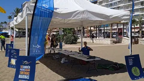 El Acuario de Sevilla presenta en Fuengirola una nueva edición de la campaña “Aquí salvamos tortugas” El Acuario de Sevilla presenta en Fuengirola una nueva edición de la campaña “Aquí salvamos tortugas”