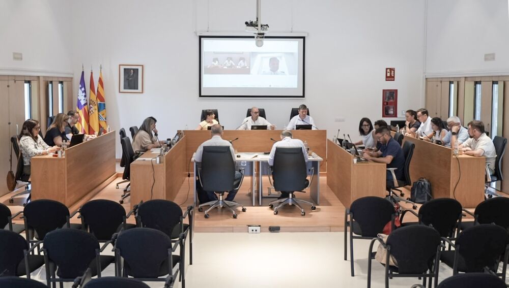 Imagen del Pleno Extraordinario celebrado en Formentera este martes 16 de junio