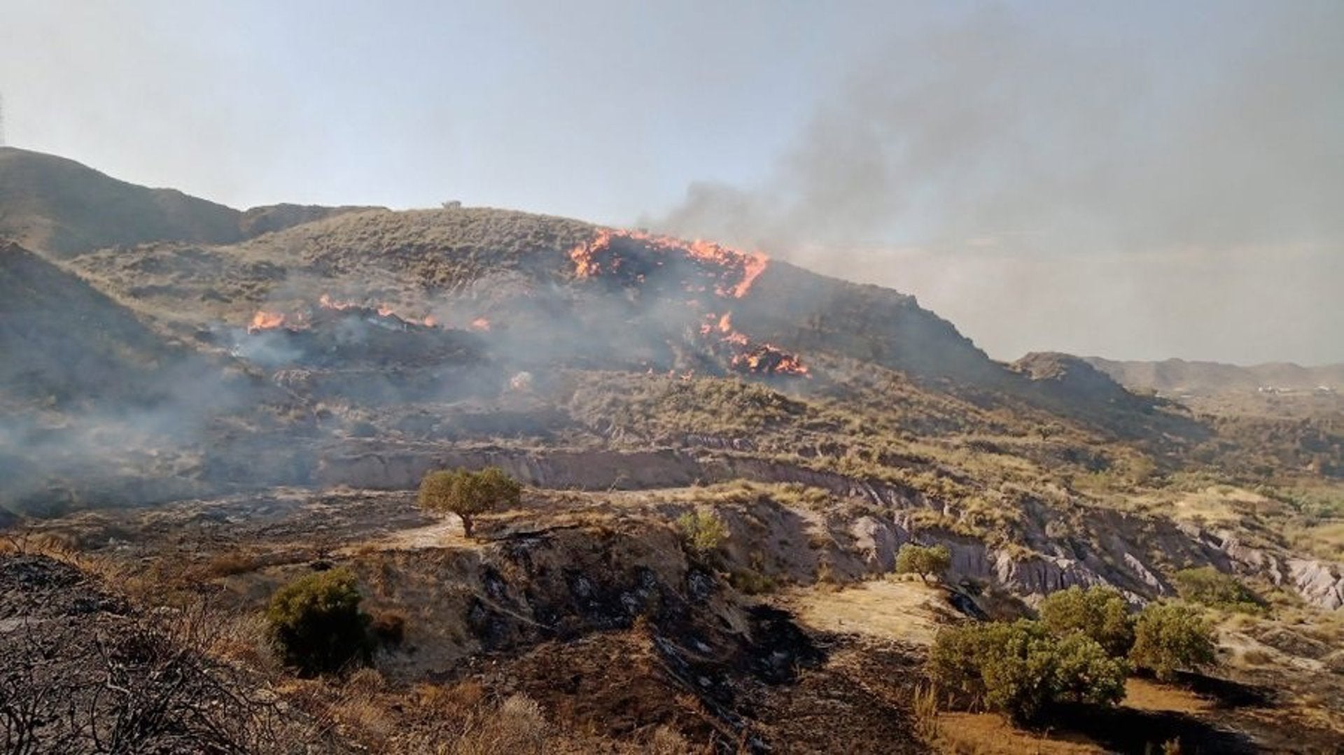Declarado un incendio forestal en el paraje El Saltador de Carboneras Declarado un incendio forestal en el paraje El Saltador de Carboneras