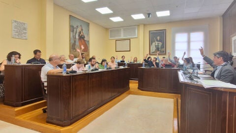 Pleno Villajoyosa