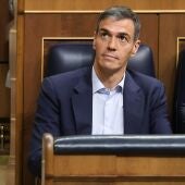 Pedro Sánchez en el Congreso