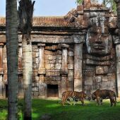 BIOPARC Fuengirola celebra 25 años demostrando que los zoológicos pueden cambiar el mundo