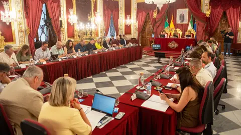 Pleno de la Diputación de Cádiz Pleno de la Diputación de Cádiz