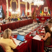 Pleno de la Diputación de Cádiz 