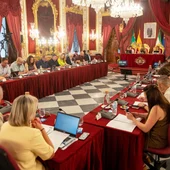 Pleno de la Diputación de Cádiz Pleno de la Diputación de Cádiz