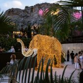 Ximenez Group vuelve a iluminar Starlite Occident como partner oficial en una nueva edición del festival