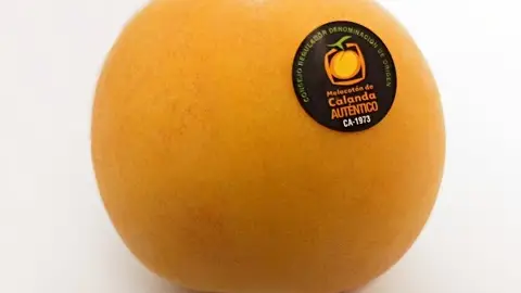 Comienza la campaña del melocotón en el Bajo Aragón histórico Comienza la campaña del melocotón en el Bajo Aragón histórico
