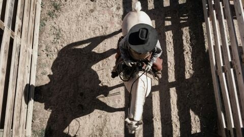 Rodeo texano