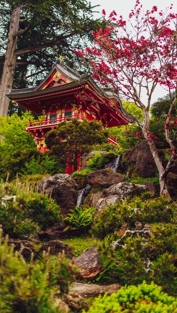 Jardín de té japonés, San Francisco Jardín de té japonés, San Francisco