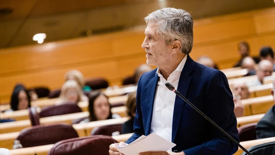 El ministro del Interior, Fernando Grande-Marlaska, durante el pleno del Senado El ministro del Interior, Fernando Grande-Marlaska, durante el pleno del Senado