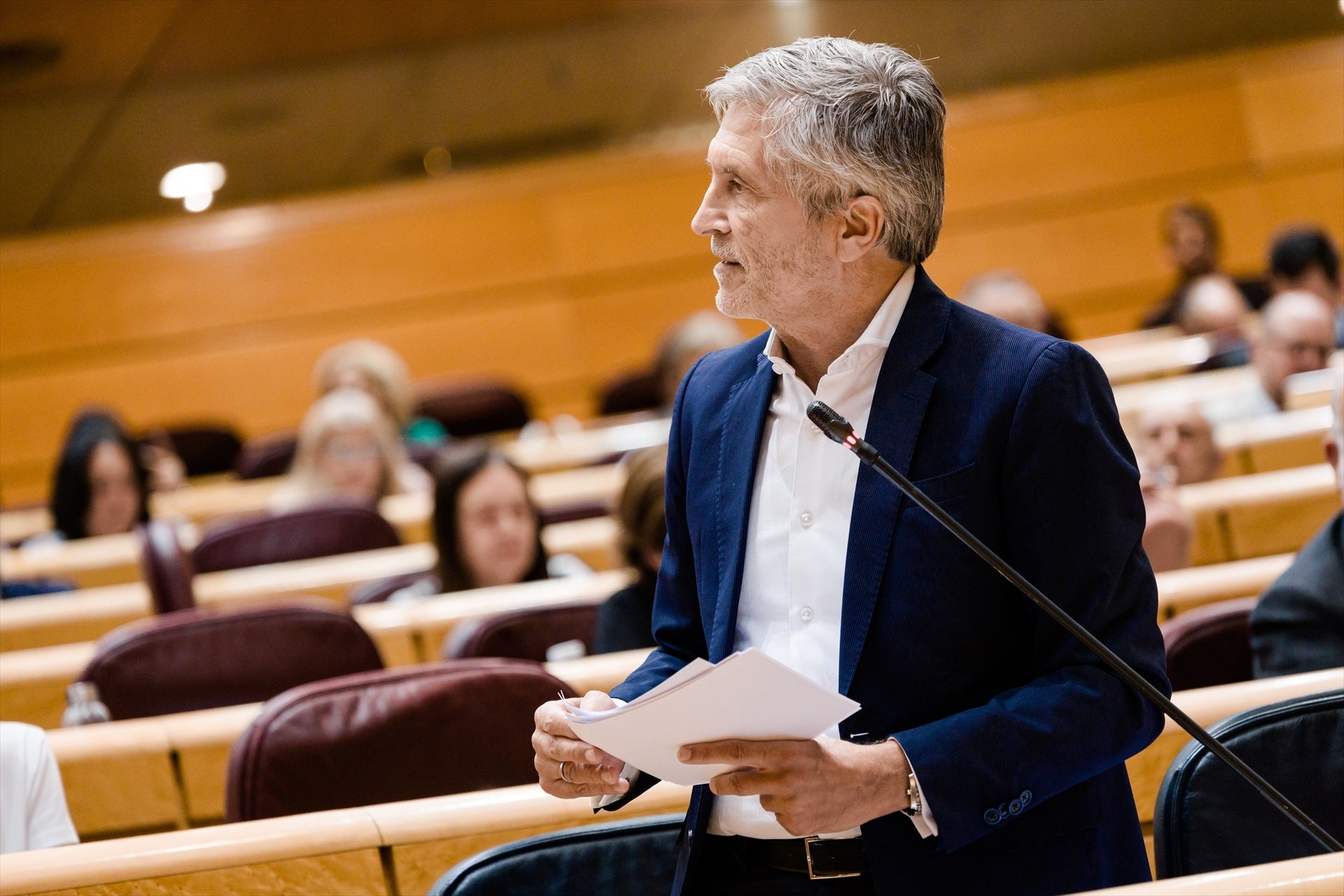 El ministro del Interior, Fernando Grande-Marlaska, durante el pleno del Senado El ministro del Interior, Fernando Grande-Marlaska, durante el pleno del Senado