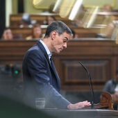 Pedro Sánchez durante una intervención en el Congreso de los Diputados 