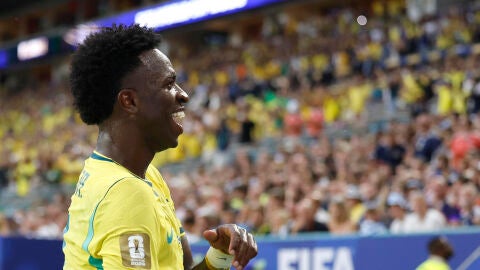 Vinicius en una foto de archivo con Brasil 
