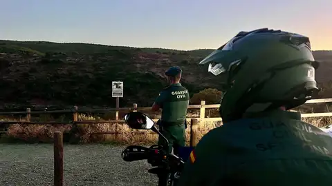 Detenido un hombre acusado de dejar que su perro matara a un gato de una colonia felina en Cáceres Detenido un hombre acusado de dejar que su perro matara a un gato de una colonia felina en Cáceres