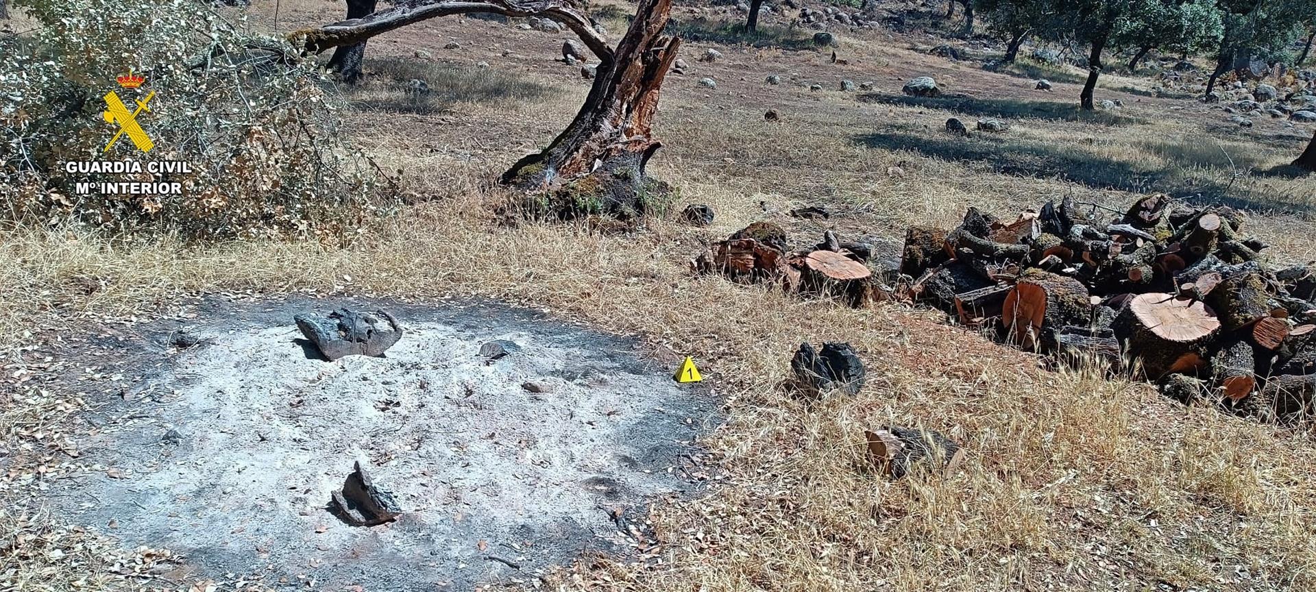 Investigan al trabajador de una finca en Monesterio por un incendio tras descuidar una hoguera durante una poda Investigan al trabajador de una finca en Monesterio por un incendio tras descuidar una hoguera durante una poda