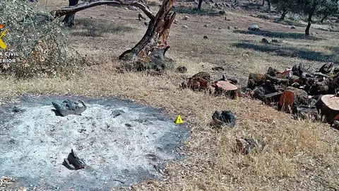 Investigan al trabajador de una finca en Monesterio por un incendio tras descuidar una hoguera durante una poda Investigan al trabajador de una finca en Monesterio por un incendio tras descuidar una hoguera durante una poda