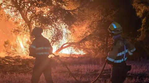Efectivos en el incendio de Leciñena Efectivos en el incendio de Leciñena